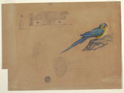 Studien von Guaccamaya, Bogotá, Kolumbien, Juni–Juli 1853 von Frederic Edwin Church