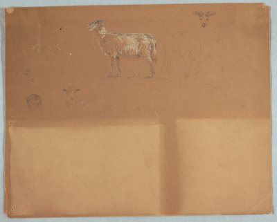 Studien von Schafen, Ecuador oder Kolumbien, 1853 von Frederic Edwin Church