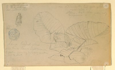 Zeichnung, Studie eines Mannes von Frederic Edwin Church
