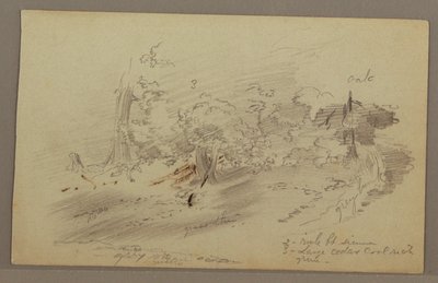 Bäume, möglicherweise 1860er Jahre von Frederic Edwin Church