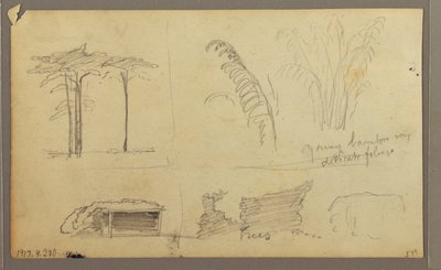 Ansichten des Ostufers des Guayas-Flusses, gegenüber von Guayaquil, Ecuador, Mai 1857 von Frederic Edwin Church