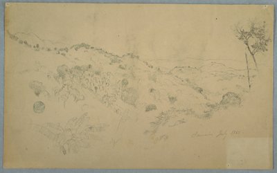 Zeichnung, Bewaldetes Tal mit einem großen Farn und fernen Bergketten, Jamaika, Juli 1865 von Frederic Edwin Church