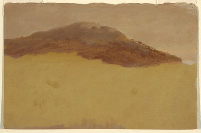 Bewaldeter Hang, 1870–80 von Frederic Edwin Church