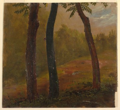 Zeichnung, Waldszene, Jamaika, 1865 von Frederic Edwin Church