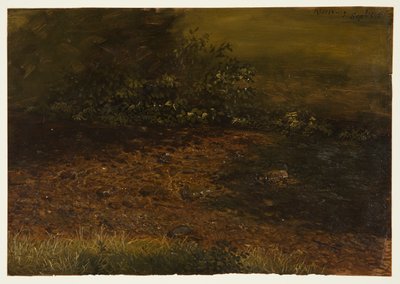 Zeichnung, Waldstrom in den Catskills, September 1848 von Frederic Edwin Church