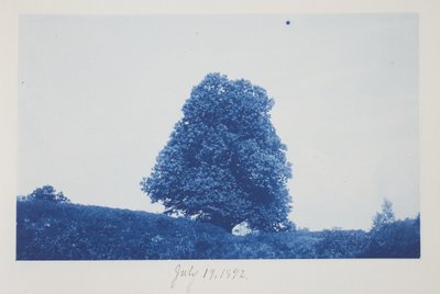 Ohne Titel, 19. Juli von Frederick K. Coulson