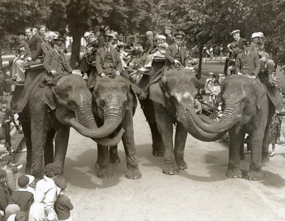 Elefantenreiten im Londoner Zoo, Juli 1936 von Frederick William Bond