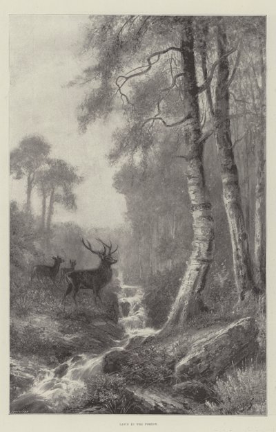 Morgendämmerung im Wald von Frederick William Hayes