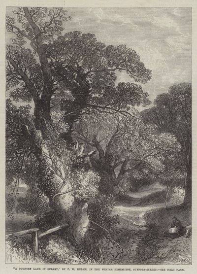 Ein Landweg in Surrey von Frederick William Hulme