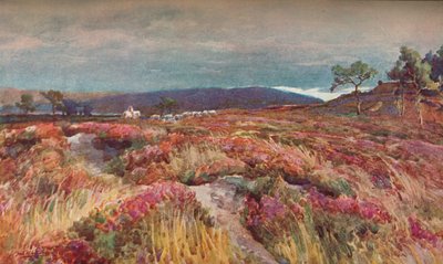 Auf der Heide Lytchett Minster von Frederick William Newton Whitehead