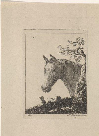 Kopf eines Pferdes von Frederik Lodewijk Huygens