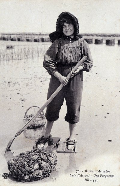 Arcachon-Becken: eine Austernsortiermaschine - Postkarte von French Photographer