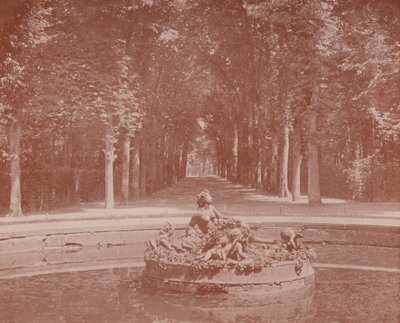 Becken der Flora, Park von Versailles von French Photographer