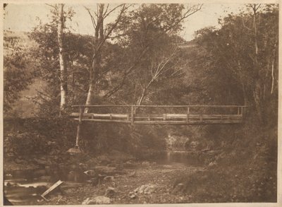 Landschaft mit Bäumen und Brücke, ca. 1850 von French Photographer