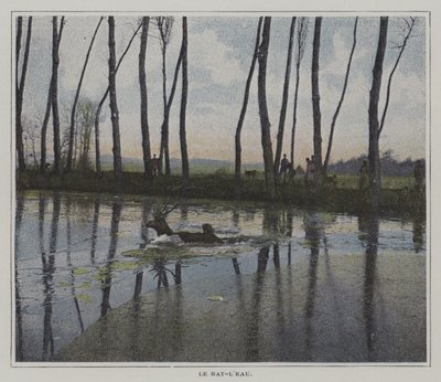 Hirsch schwimmt, um einer Jagd zu entkommen (Farbfoto) von French Photographer