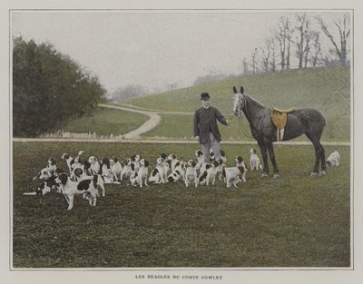 Die Beagles von Graf Cowley von French Photographer