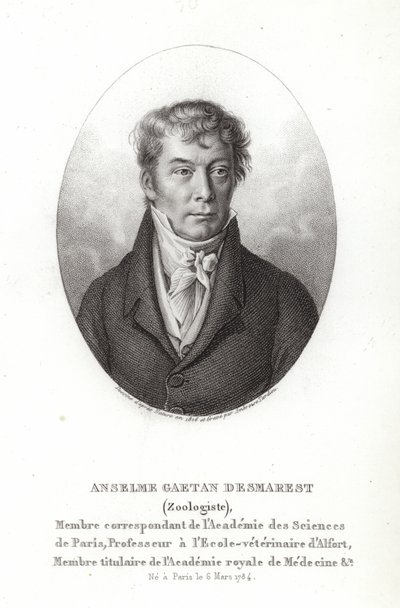 Anselme Gaëtan Desmarest von French School