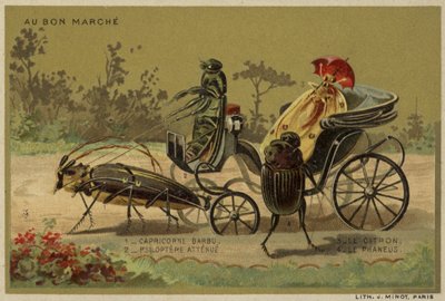 Au Bon Marché-Karten mit anthropomorphen Insekten von French School