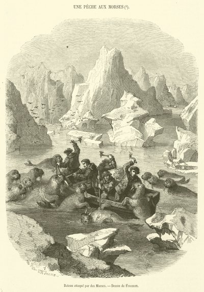 Boot von Walrossen angegriffen von French School