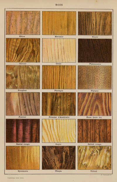 Holz (Farblithografie) von French School