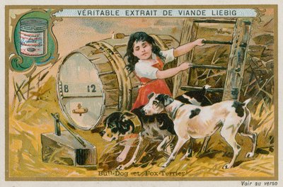 Bulldogge und Foxterrier von French School
