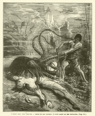 Kampf mit einem Oktopus (Gravur) von French School