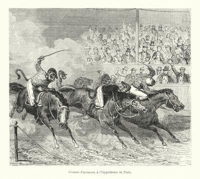 Tierwettkämpfe auf der Pferderennbahn von Paris (Stich) von French School