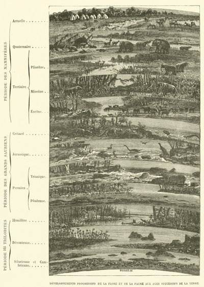 Fortschreitende Entwicklungen der Flora und Fauna in den aufeinanderfolgenden Erdzeitaltern von French School