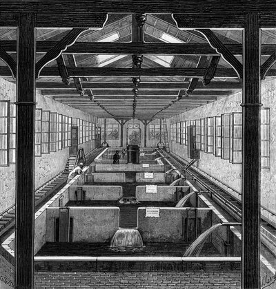 Fischzucht: die bewirtschafteten Teiche von Brut in Huningue, Haut Rhin (68) von French School