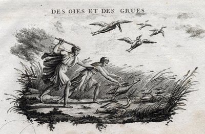 Gänse und Kraniche - Fabel von Äsop (Griechischer Schriftsteller Äsop, 6. Jahrhundert v. Chr.) Geschrieben von Guillaume Montfort und graviert von Beauble im Jahr 1801. von French School