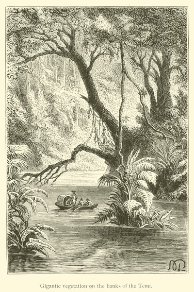 Gigantische Vegetation an den Ufern des Temi von French School