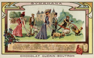 Gymkhana von French School