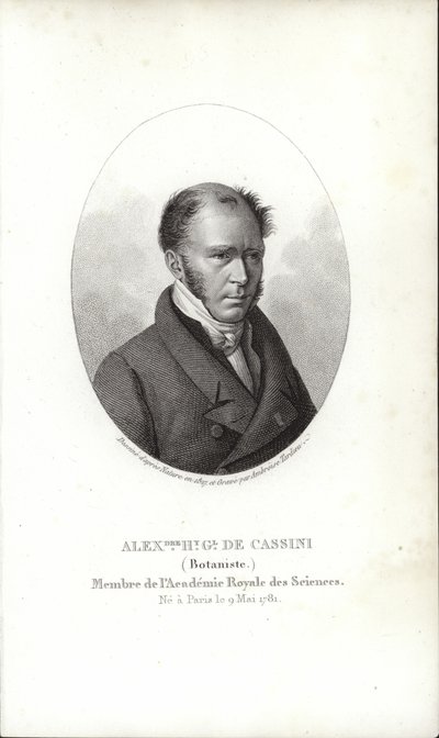 Henri Cassini von French School