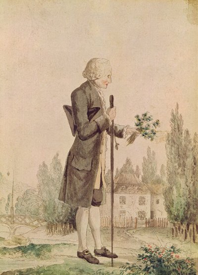Jean-Jacques Rousseau sammelt Kräuter in Ermenonville von French School