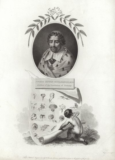 Joseph Pitton de Tournefort von French School