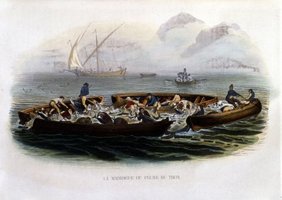 La madrague ou Pêche thon - in „Histoire naturelle de Lacepède“ von French School