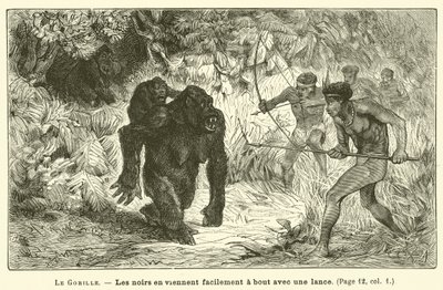 Der Gorilla von French School
