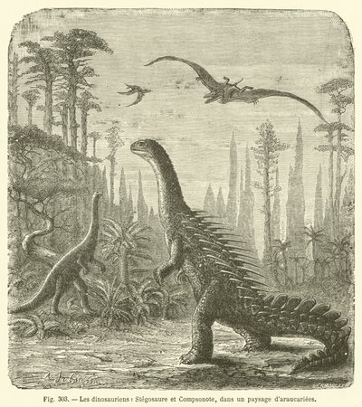 Die Dinosaurier, Stegosaurus und Compsognathus, in einer Landschaft von Araukarien (Gravur) von French School