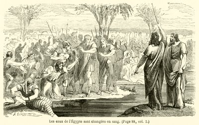 Die Wasser Ägyptens werden zu Blut von French School