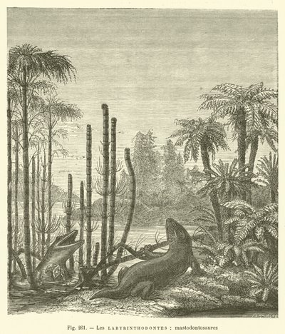 Die Labyrinthodonten, Mastodontosaurier von French School