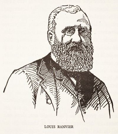 Louis Ranvier von French School