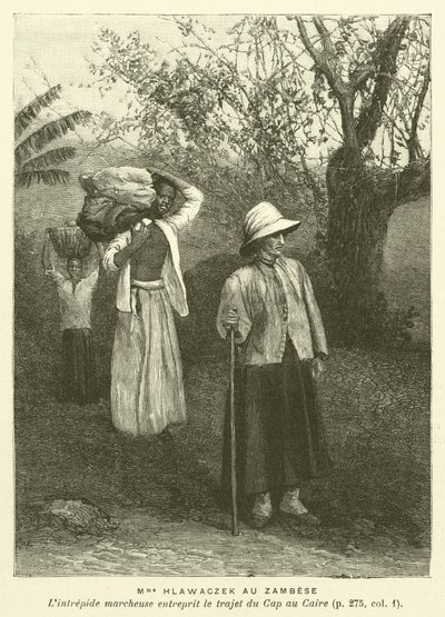 Madame Hlawaczek am Sambesi (Stich) von French School