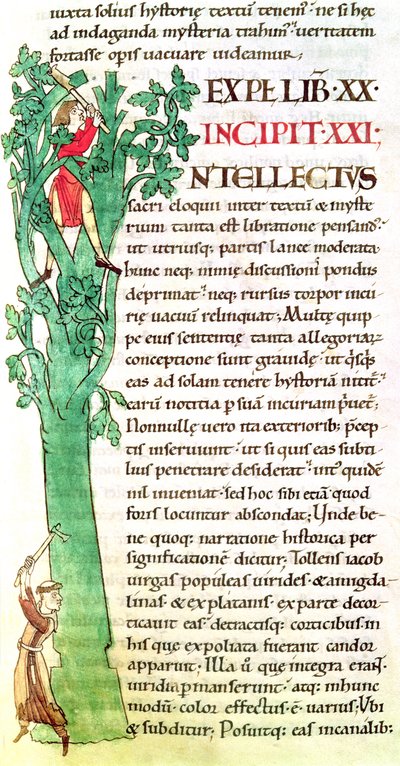 Ms 173 f.41 Historisierte Initiale I, die einen Mönch und einen Laien zeigt, die einen Baum fällen und beschneiden, aus Moralia in Job von Papst Gregor dem Großen von French School