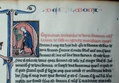 Ms 3458 Historisierte Initiale 