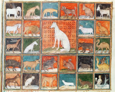 Ms 993 fol.254v Die Eigenschaften der Tiere: Die Säugetiere, aus Le Livre des Proprietes des Choses von Jean Cordichon von French School