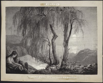 Napoleon Bonaparte besucht sein Grab auf St. Helena von French School