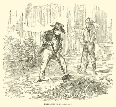 Napoleon in seinem Garten (Gravur) von French School