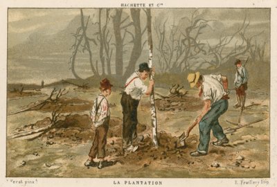 Bäume pflanzen von French School