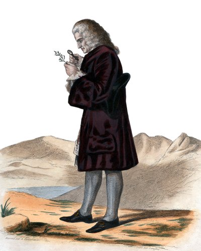 Porträt von Bernard de Jussieu (1699-1777), französischer Naturforscher von French School