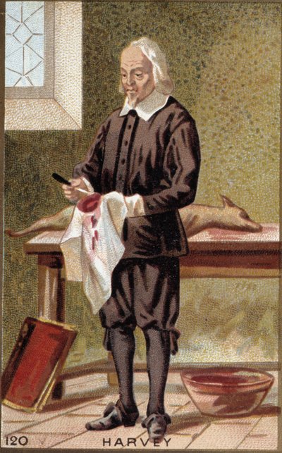 Porträt von William Harvey (1578-1657), englischer Arzt. von French School